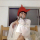 warmfuzzyphoto:Kittens and milk1956 adult photos