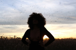 dianamsphotography-deactivated2:  Some of the best light and scenery I’ve ever seen in my life.. I’ll never forget these birds… and these moments.. &lt;3 Photographer - Diana M.SchenkelModel - Louise DiamondPLEASE LEAVE ALL NOTES INTACT IF YOU REBLOG