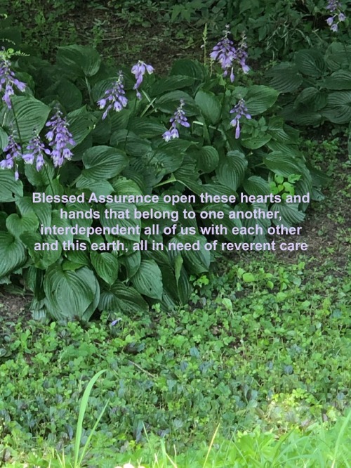 Blessed Assurance open these hearts and hands that belong to one another, interdependent all of us w