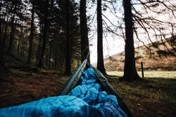 alexmurison:  Sleeping in hammocks and having a secluded dense mossy woodland all to yourself. 