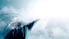 arrgorns: It’s like in the great stories, Mr. Frodo. The ones that really mattered.