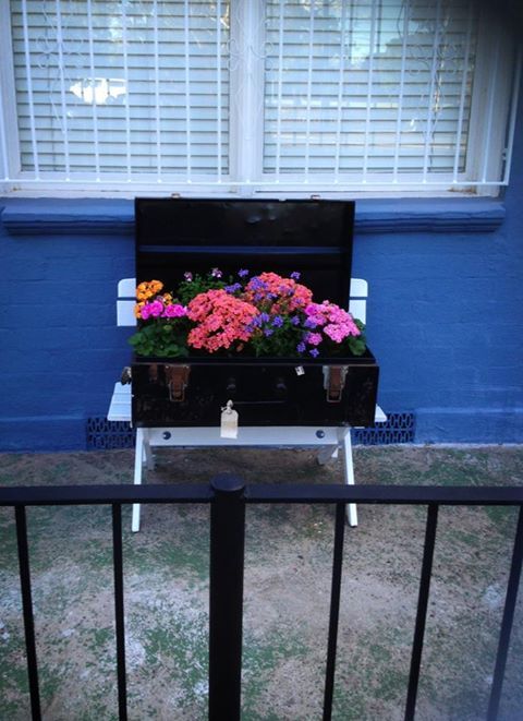 I love all the things you can do with vintage suitcases. How cute is this planter I saw on my walk h