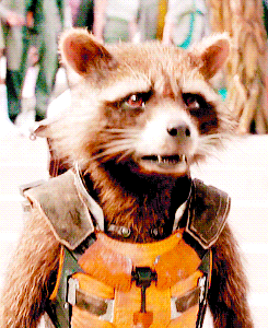 tomshardy: rocket being 1000% done with everything