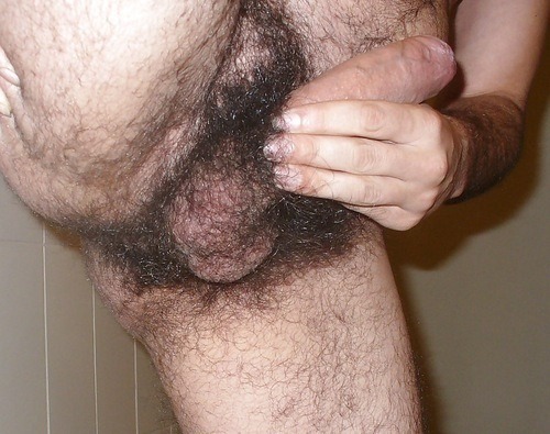 Another very hairy ball sack being shown….