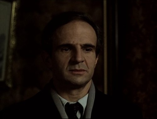 Francois Truffaut appearances on screen:L'enfant sauvage(1970)La nuit américaine (1973)L'histoire d'