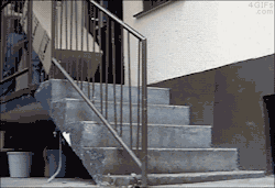 4gifs:Finally, a use for the wheel!