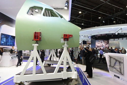 Paris Air Show 2015                                               As aviation leaders mingle in Pari