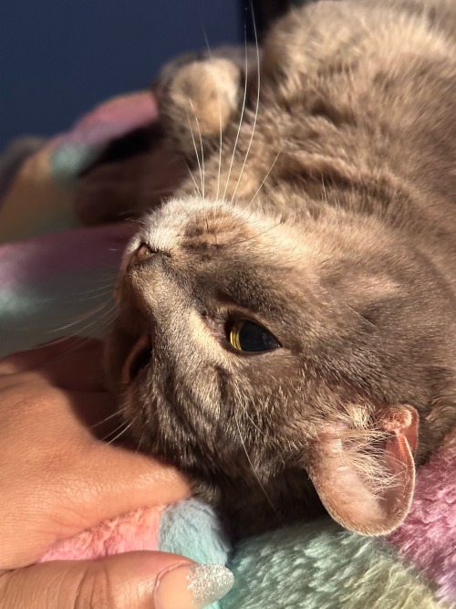 My Baby Nyla, Shes So Sweet