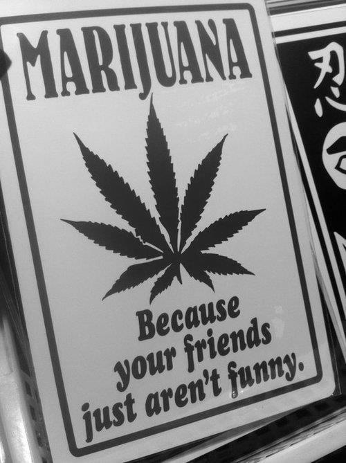 anotherrandomguy81:  Fuck you, I’m hilarious. 