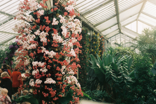 eatingdaffodils:Kew Gardens by joe pepper on Flickr.