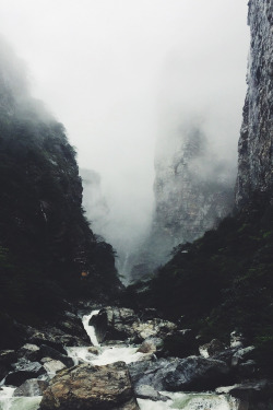 envyavenue:  Thick Fog by Wyman H,