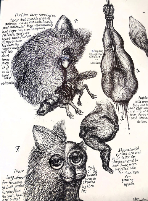 Scientific illustration of a Furby, or as my friends and I call it, Skin FurbyAn AP studio art proje