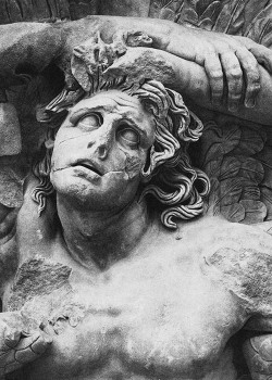 lu-luveres:  Pergamon Altar, East frieze: Head