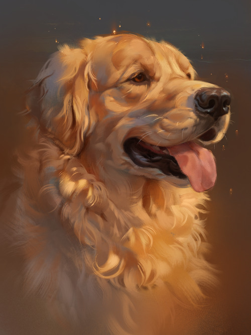 pet portrait art