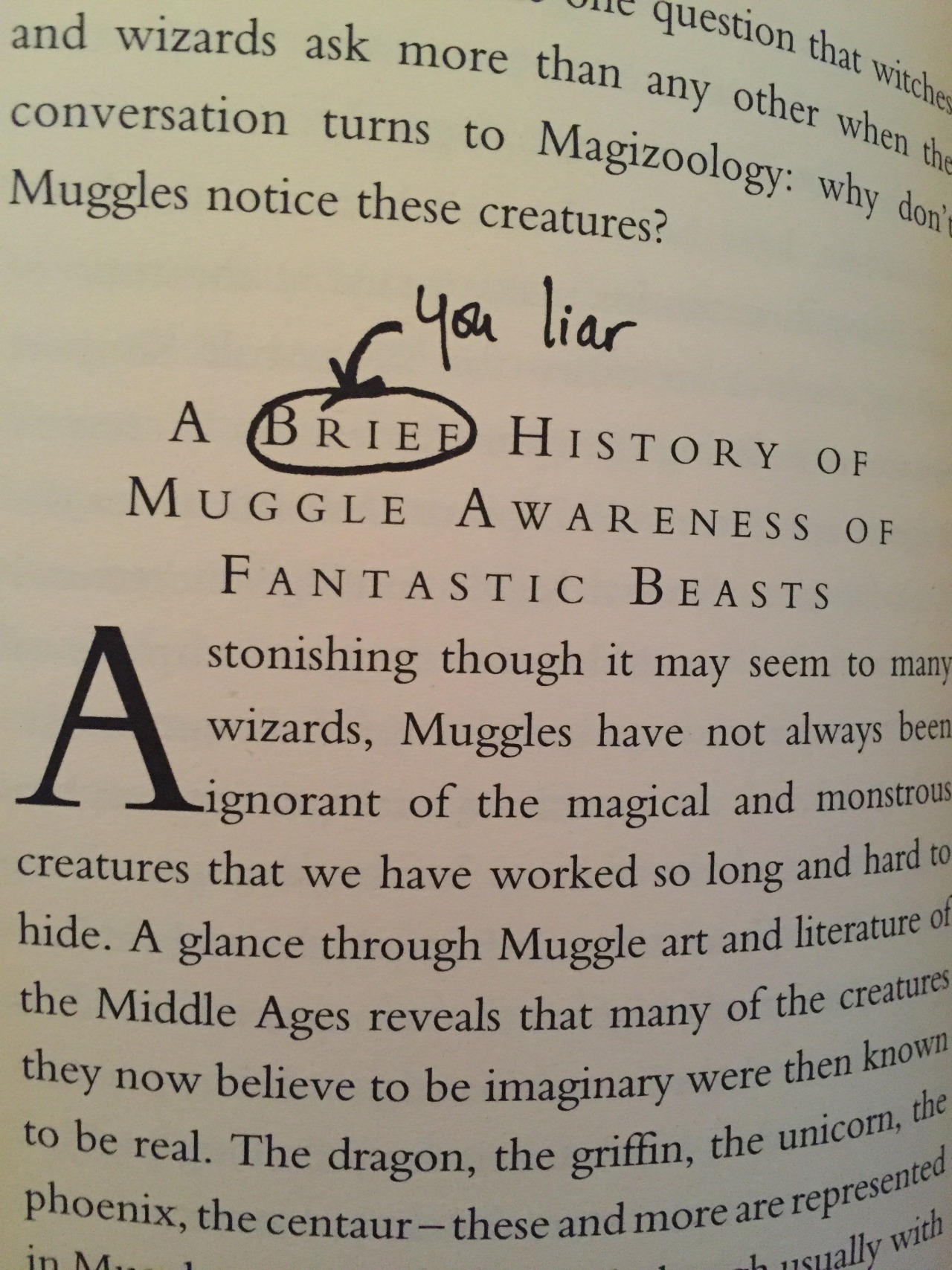 sherlatetothemoriparty:  Me before Fantastic Beasts movie: I like how Ron and Harry
