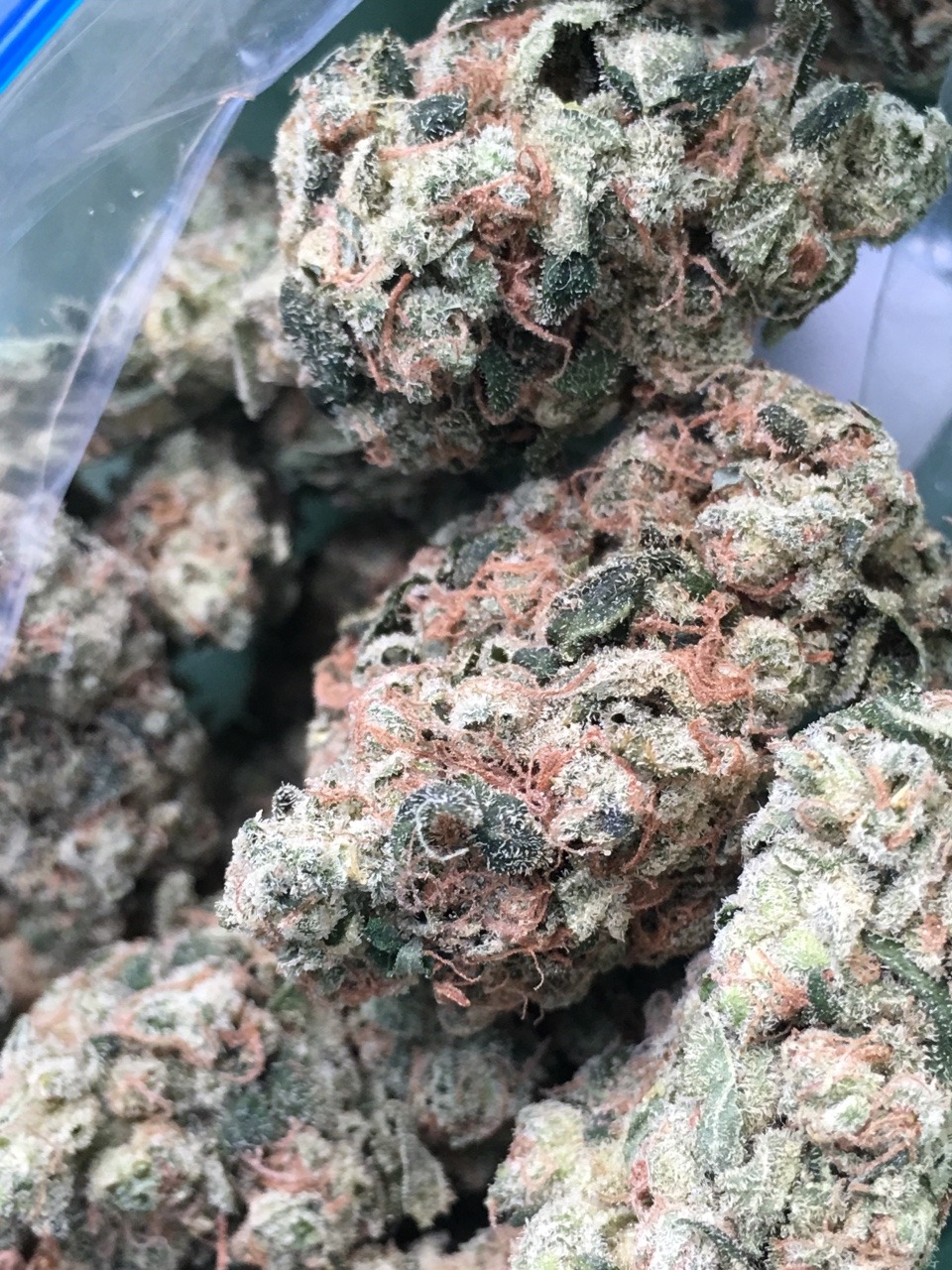 666-Grams