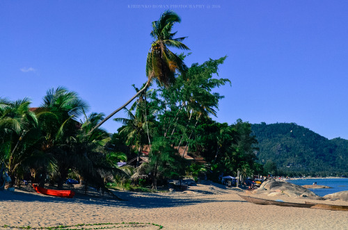 Koh Samui, Thailand #10photo by Kirienko Roman (romanophoto.tumblr.com)