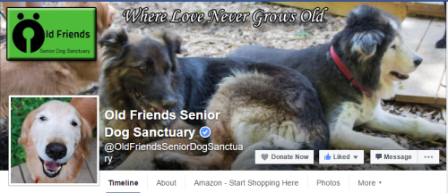 pugsarelub: lostbetweenthenotes: pugsarelub: Do you love Old Friends Senior Dog Sanctuary? Do you sh