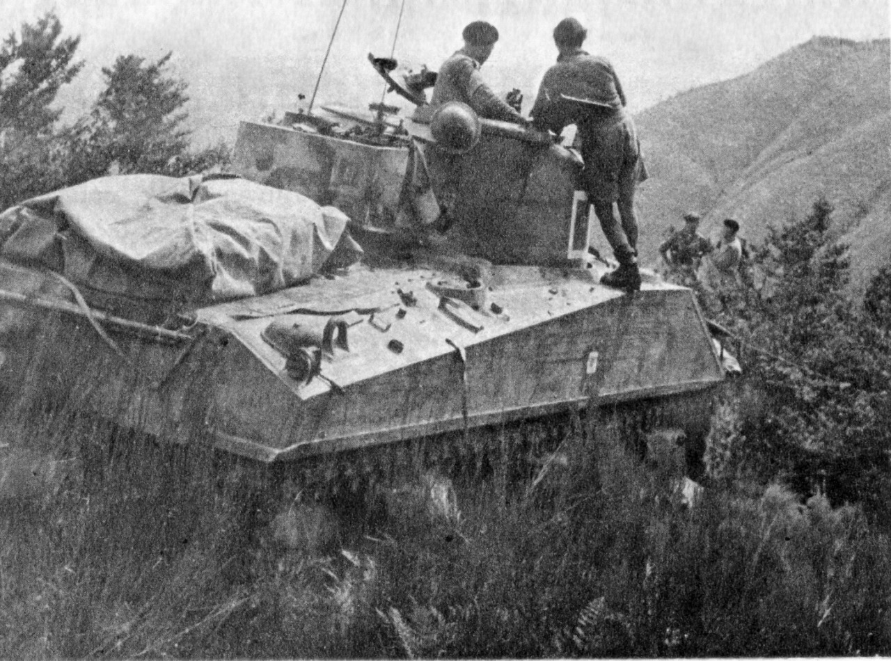 za-wayfarer:  The 6th South African Armoured Division, deployed as part of the British