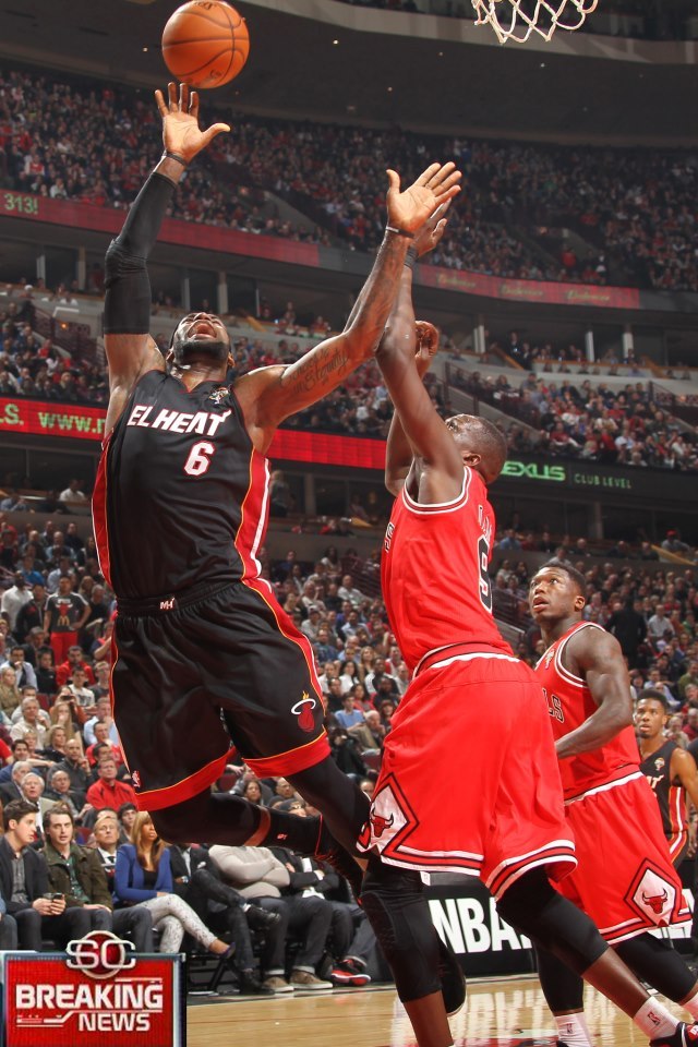 this is for alll the chicago bulls fans out there