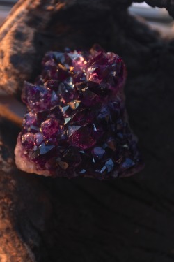 eartheld:    Amethyst cluster Feb. 2014    mostly nature