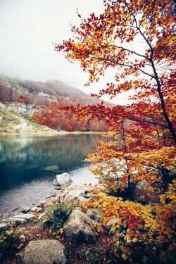 elenamorelli:  { longing for autumn } 