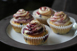 eats-and-treats:  blueberry cream cheese swirled cupcakes by honey drizzle on Flickr.