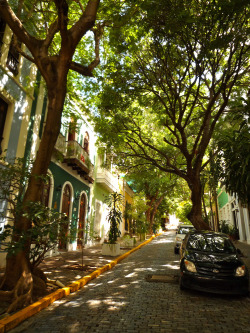 chroniclesoflane:  Street • Old San Juan 