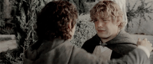 eowyns:Well, you’ve left out one of the chief characters: “Samwise the Brave.” I want to hear more a