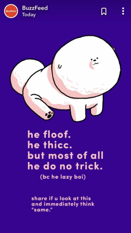 I used to like dogs, but BuzzFeed had to ruin that too