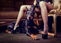 britbritbeme2:  Fishnets, and a big dogs make a hot combo :)