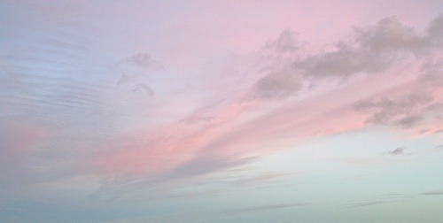 doodooprincess:different pinks