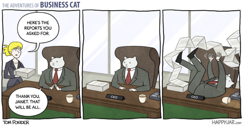 yodiscrepo:  Las aventuras del gato empresario. 