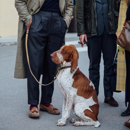 Trying hard but still far from being as stylish as the one sitting in the middle • • &bull