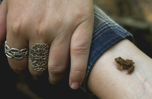 Had these little guys hopping all over me! By: Emily Hawkins