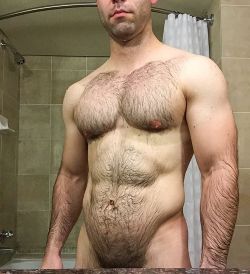 Hairy Chests