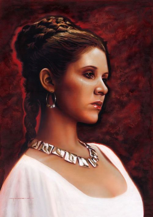 alwaysstarwars:  Another series of beautiful portraits by Jerry Vanderstelt