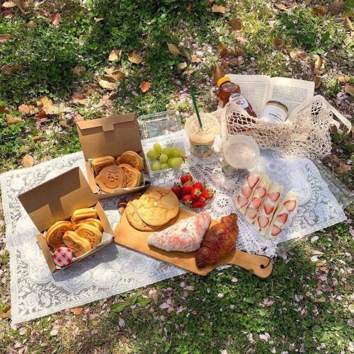 picniccore