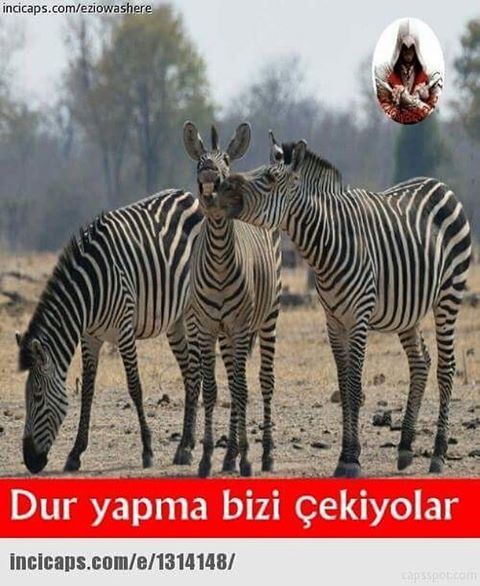 Dur yapma bizi çekiyolar