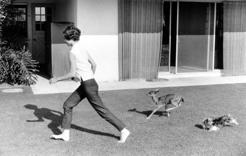 rareaudreyhepburn:  Audrey Hepburn at home with her pet deer, Ip, and her jealous Yorkshire Terrier, Mr. Famous, Beverly Hills, California, 1958.  Photographs by Bob Willoughby. Ip lived with Audrey weeks before filming Green Mansions, so that the two