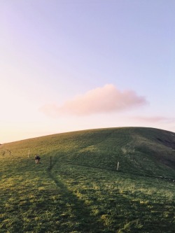 coreywolfenbarger:Magic field in the sky.