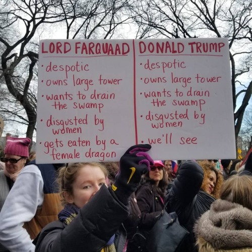thegingeregg:My favorite sign from the Women’s March.