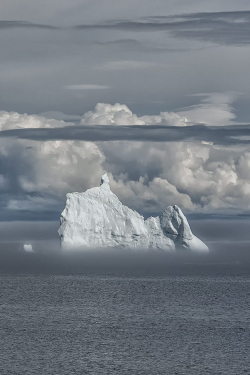 l-eth-e:  Labrador  iceberg   (by  Kevin