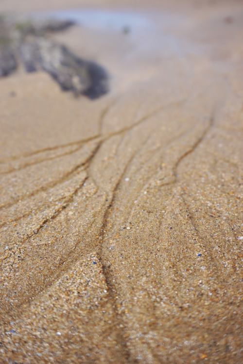 Beach veins.Sables d’Olonne, Vendée, France.