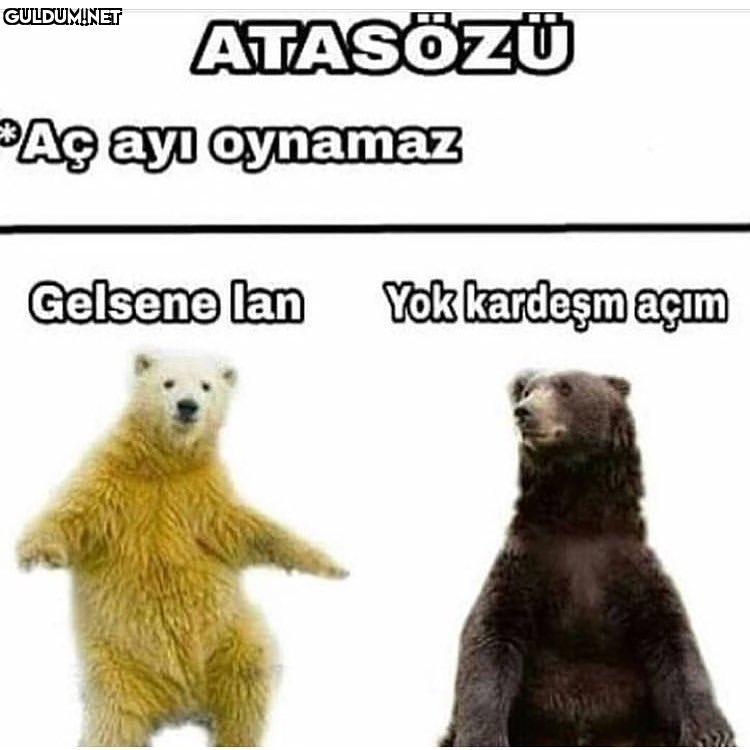 ATTASOZ4U
Aç ay...