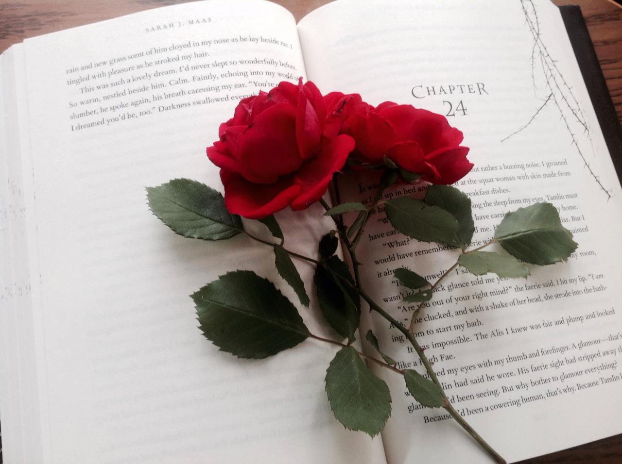 buttermybooks:  A Court of Thorns and Roses - Sarah J Maas“I threw myself into