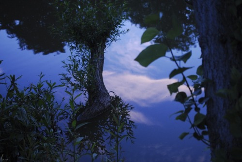 buron:  Secret Park iv (7)©sydburon - July ‘15