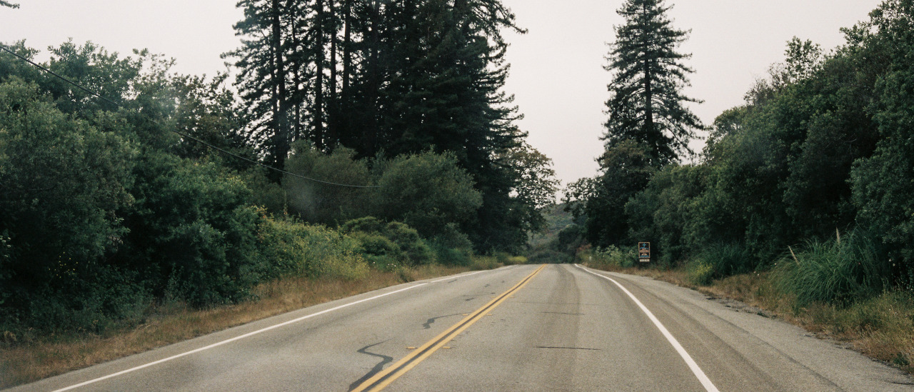 curiousname-searchinggame:  samleathersphoto:  scenes from California. Sam Leathers