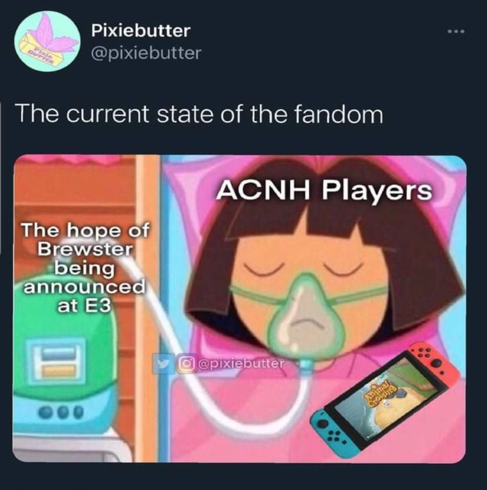 Animal Crossing Meme Dump Animal Crossing Meme Dump