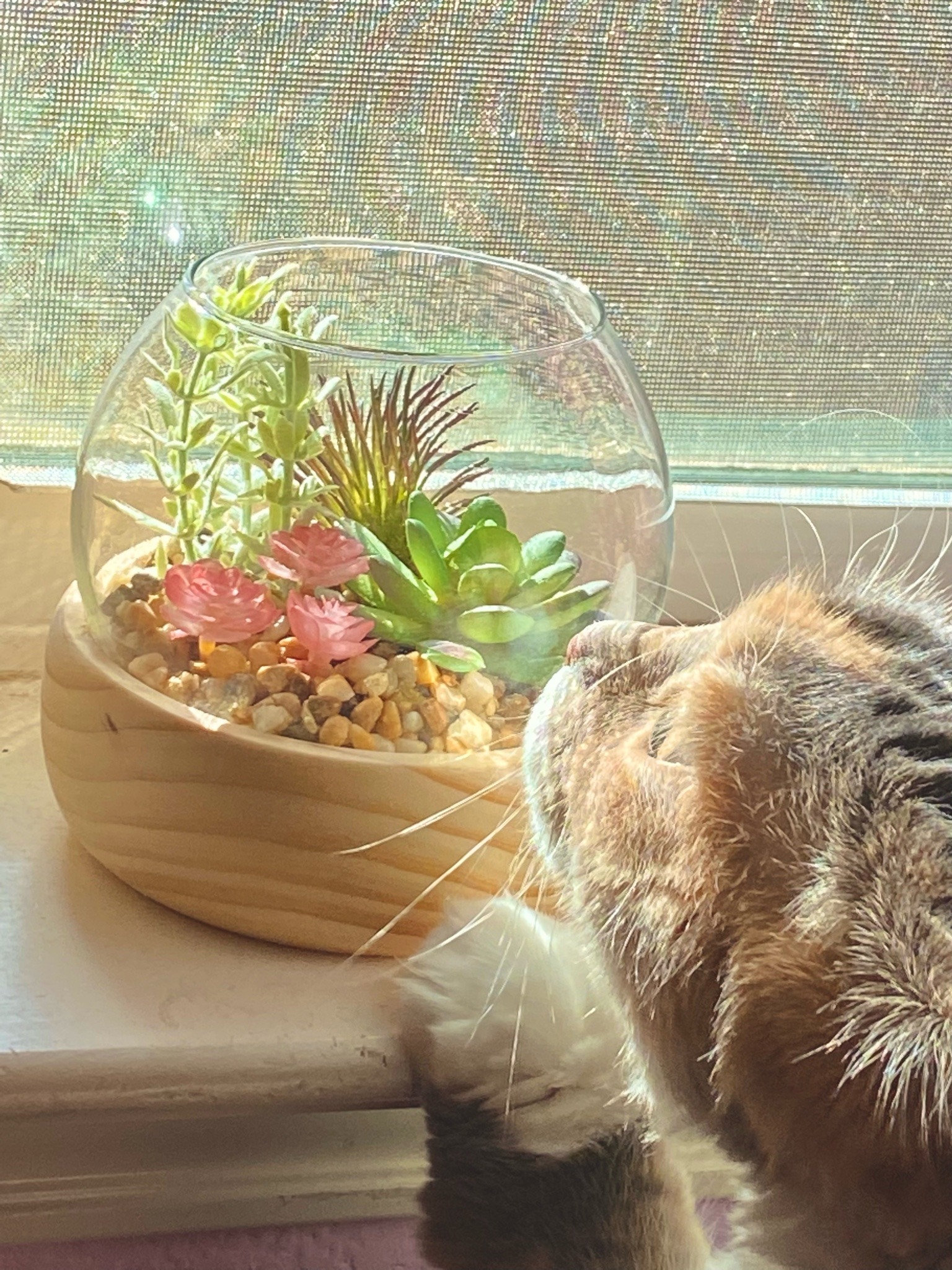 norgasmic:bepis discovering nature 🌿